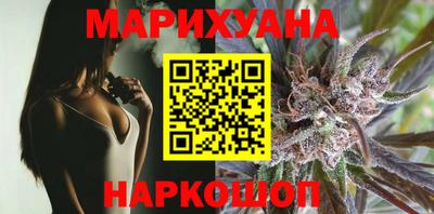 прущие крисы Камышлов
