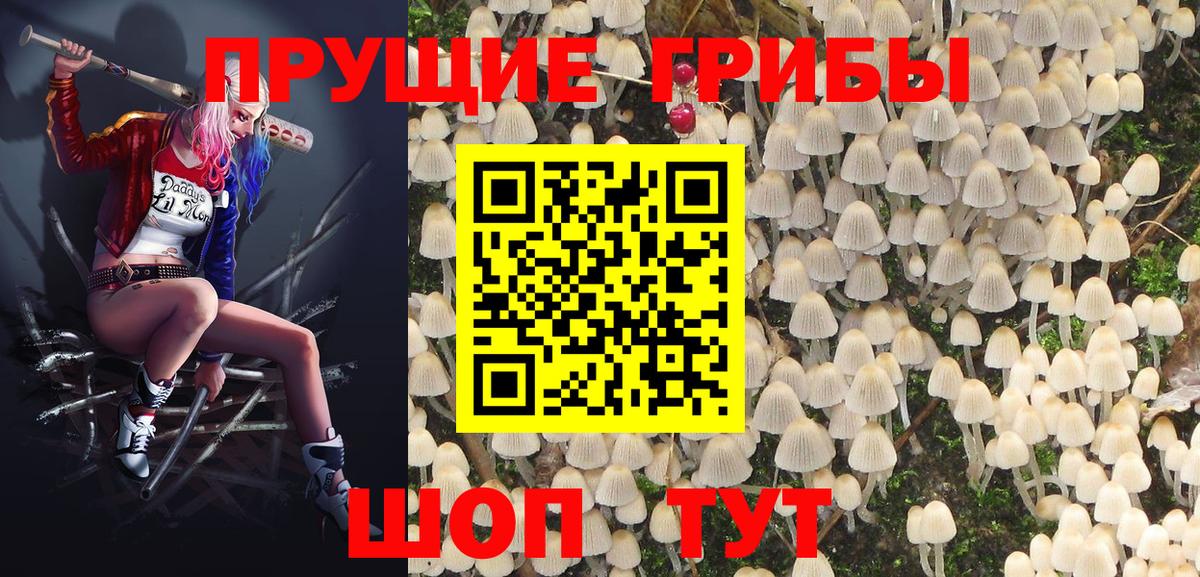 Чехов  Галлюциногенные грибы ЛСД  Вход с VPN 