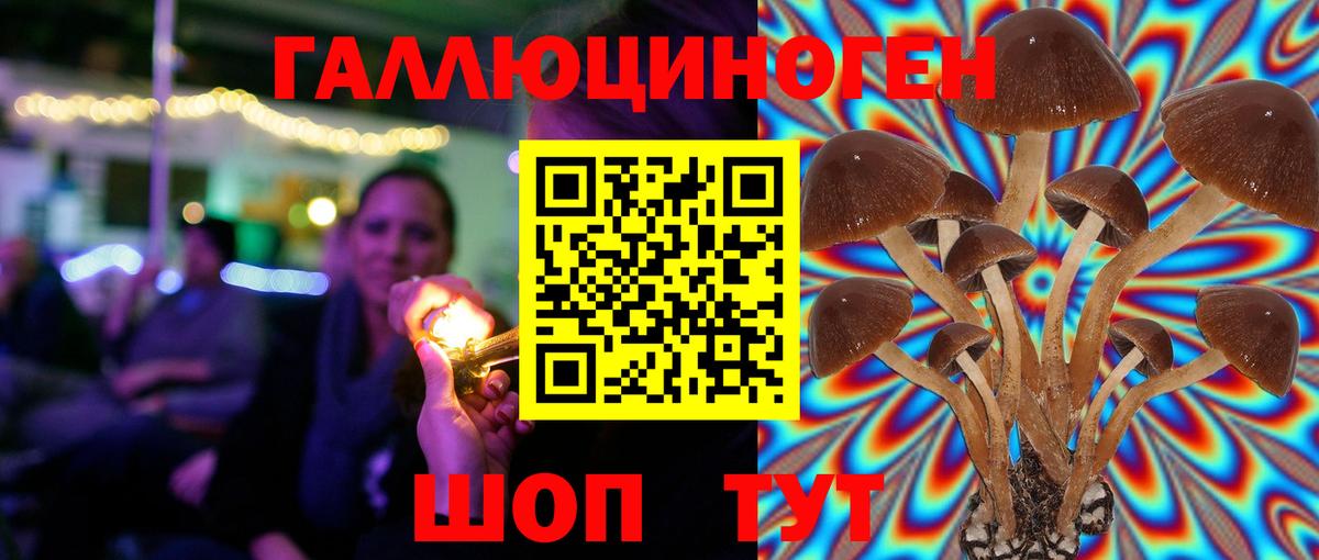 Псилоцибиновые грибы Cubensis Чехов